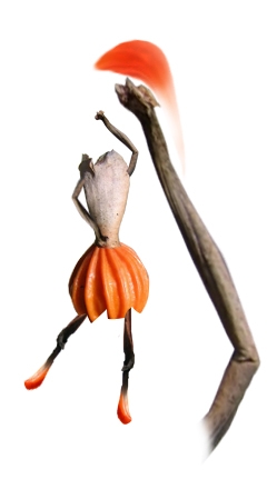 Creation of Seed Dance: Step 8